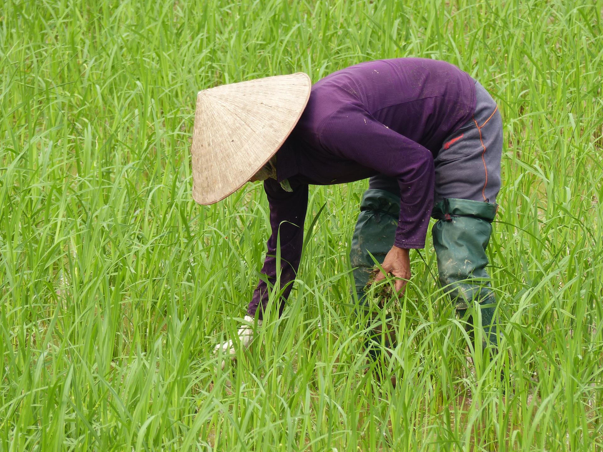 2014 04 vietnam 0194